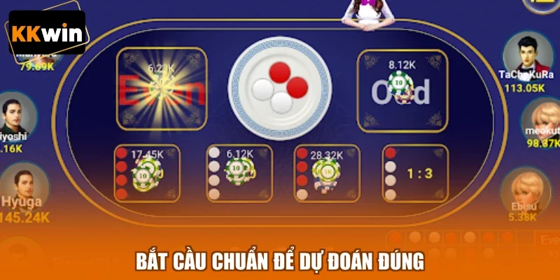 bat cau chuan de du doan dung Bắt cầu chuẩn để dự đoán đúng